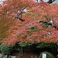 宇治興盛寺10.JPG