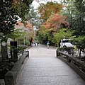 宇治上神社28.JPG