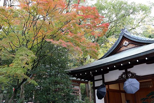 宇治神社3.JPG