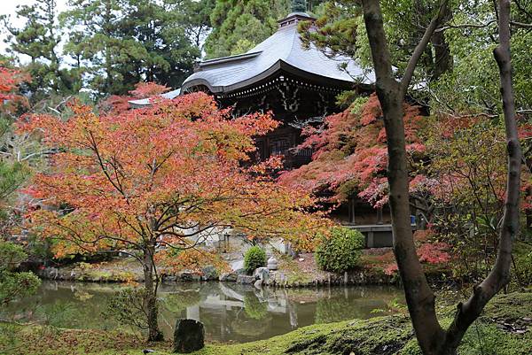 清涼寺7.JPG 清涼寺7.JPG