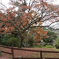 圓山公園8.JPG