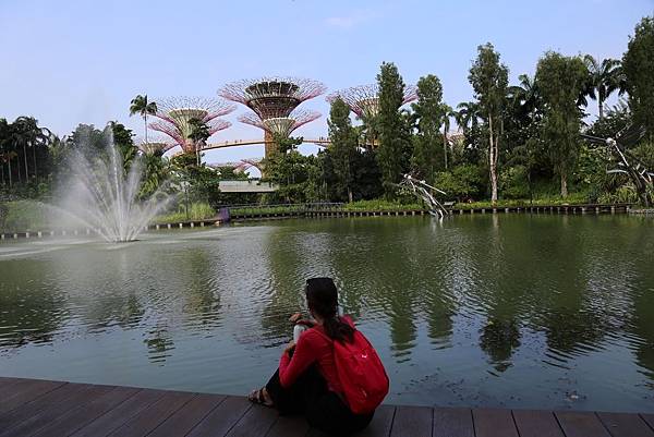 新加坡濱海灣花園9.JPG