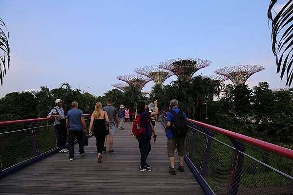 新加坡濱海灣花園14.JPG