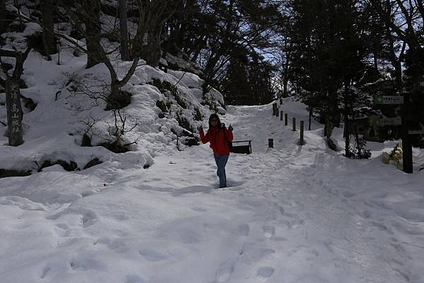 高山城山公園3.JPG