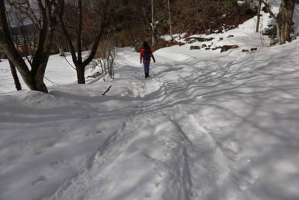 高山城山公園22.JPG