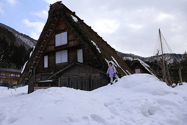 白川鄉 合掌村雪景7.JPG