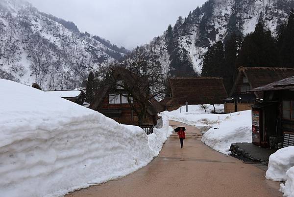 五箇山菅沼雪景5.JPG