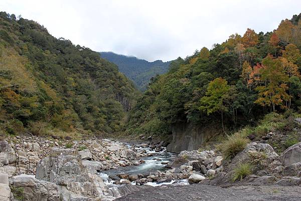 秀巒溫泉20.jpg