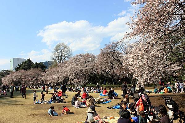 新宿御苑25.JPG