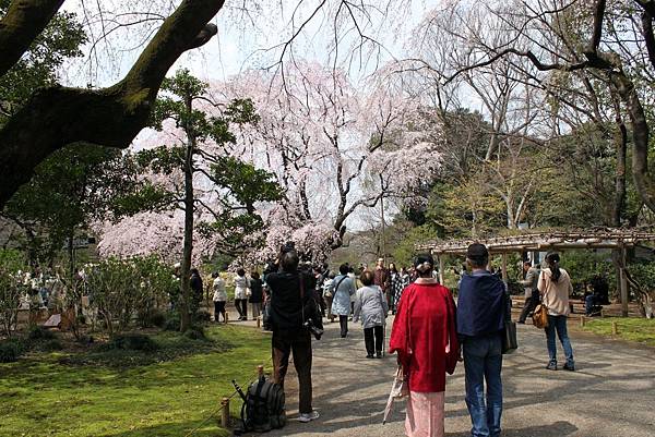 六義園1.JPG