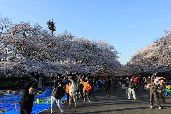 上野之晨10.JPG