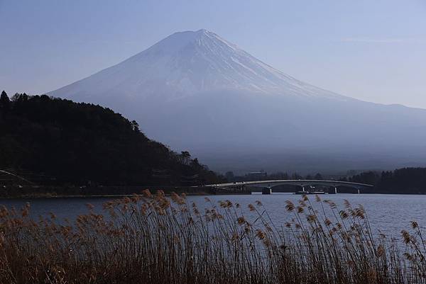 河口湖與富士山16.JPG