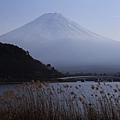 河口湖與富士山16.JPG