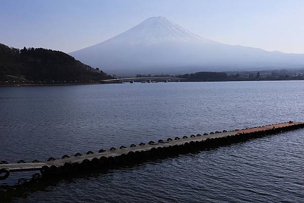 河口湖與富士山13.JPG