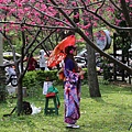 莒光公園賞櫻11.JPG