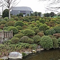 根津神社28.JPG