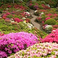 根津神社29.jpg