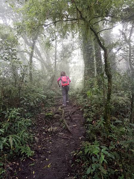 都蘭山8.jpg