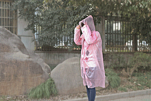 機車發不動原因四:消聲氣積碳過多 機車發不動原因還有一種就是消聲氣的積碳過多,這個部分會玩車的人可以自行來檢查一下, 建議可以拆下消聲器檢查看看,如果積碳很多就會堵塞住排氣系統,造成機車發不動 當然如果你和我一樣對機車的理解就是加油門就會動其它都不懂,那還是請專業的師傅來為你處理就好。 機車發不動原因四:消聲氣積碳過多 機車發不動原因還有一種就是消聲氣的積碳過多,這個部分會玩車的人可以自行來檢查一下, 建議可以拆下消聲器檢查看看,如果積碳很多就會堵塞住排氣系統,造成機車發不動 當然如果你和我一樣對機車的理解就是加油門就會動其它都不懂,那還是請專業的師傅來為你處理就好。