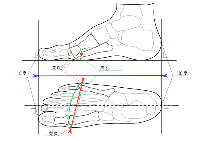 鞋子尺寸對照想要買鞋的你是不是不知道如何正確的量腳的尺寸呢? 不知道正確腳的尺寸而買的鞋子可是會讓腳穿起來很不舒服的喔! 那麼要如何正確的量腳的尺寸呢? 下圖為為正確的量腳的尺寸的示意圖,量腳的最大長度,即從腳的「大姆指」開始量到腳的「腳後根」就完成囉! 這樣量出來的尺寸就能協助你買到最適合自己腳的鞋子喔!選擇尺碼時,請先量測腳掌長度。若是偏寬或偏厚的腳型,視實際狀況,增加一個尺碼。 1.請先測量您的腳長腳寬:如何測量:將您的腳型描繪再白紙上,測量最長跟最寬處。 2.若無法確定要選擇幾號,建議參考您其它鞋子尺碼是EUR幾號? (因球鞋一般版型偏大,勿參考球鞋喔) 鞋子尺寸對照想要買鞋的你是不是不知道如何正確的量腳的尺寸呢? 不知道正確腳的尺寸而買的鞋子可是會讓腳穿起來很不舒服的喔! 那麼要如何正確的量腳的尺寸呢? 下圖為為正確的量腳的尺寸的示意圖,量腳的最大長度,即從腳的「大姆指」開始量到腳的「腳後根」就完成囉! 這樣量出來的尺寸就能協助你買到最適合自己腳的鞋子喔!選擇尺碼時,請先量測腳掌長度。若是偏寬或偏厚的腳型,視實際狀況,增加一個尺碼。 1.請先測量您的腳長腳寬:如何測量:將您的腳型描繪再白紙上,測量最長跟最寬處。 2.若無法確定要選擇幾號,建議參考您其它鞋子尺碼是EUR幾號? (因球鞋一般版型偏大,勿參考球鞋喔)