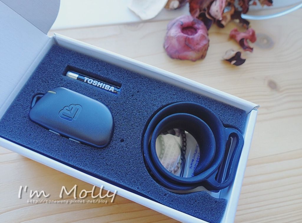 心和鍊-5.JPG 心和鍊-5.JPG