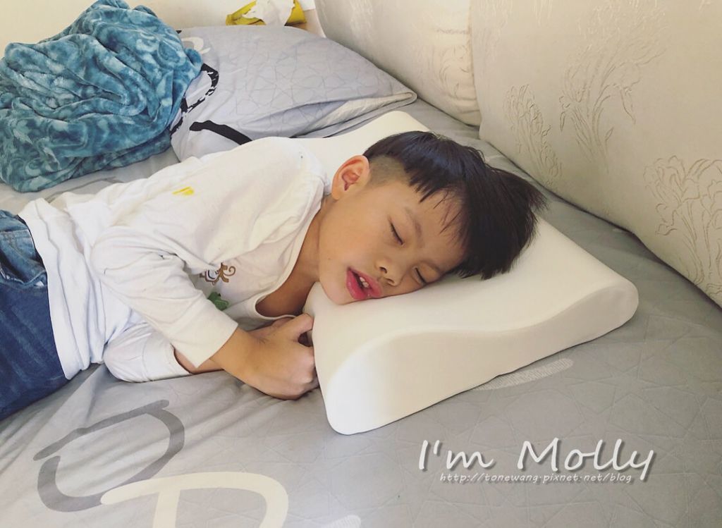 格蕾莎兒童環保記憶枕-13.JPG 格蕾莎兒童環保記憶枕-13.JPG