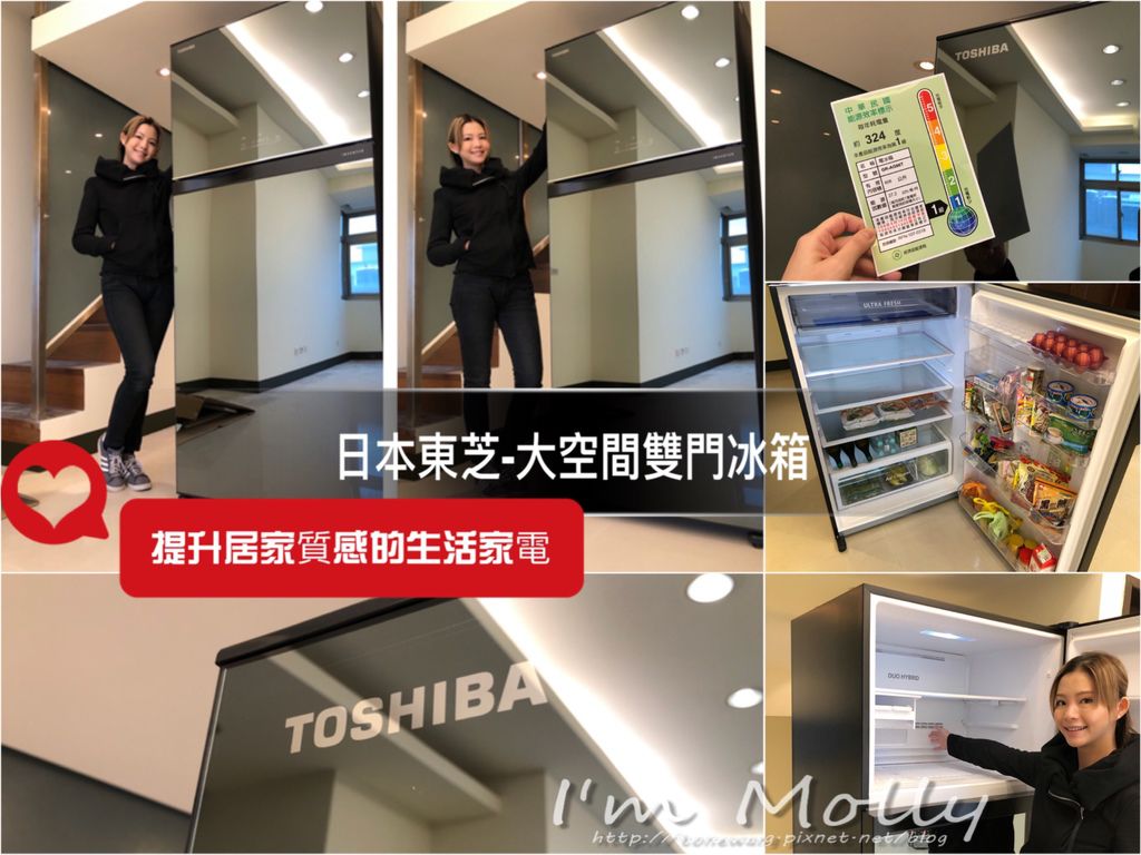 雙門冰箱/大空間大容量/快速冷凍/日本東芝Toshiba-1.JPG 雙門冰箱/大空間大容量/快速冷凍/日本東芝Toshiba-1.JPG