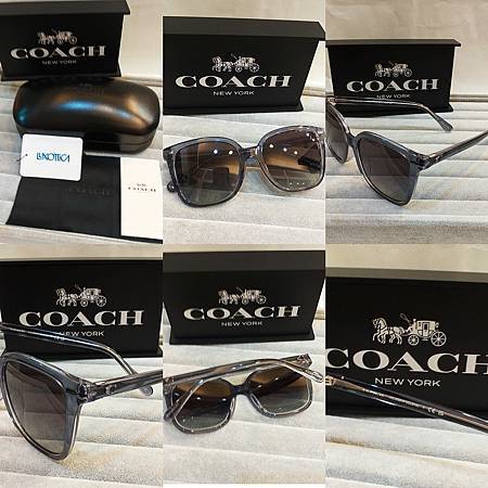 高雄東庭眼鏡~COACH 時尚大框金屬、膠框太陽眼鏡 高雄東庭眼鏡~COACH 時尚大框金屬、膠框太陽眼鏡