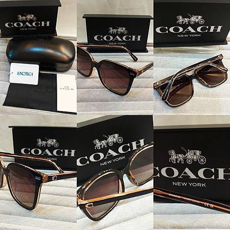 高雄東庭眼鏡~COACH 時尚大框金屬、膠框太陽眼鏡 高雄東庭眼鏡~COACH 時尚大框金屬、膠框太陽眼鏡
