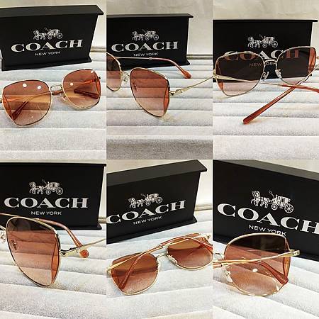 高雄東庭眼鏡~COACH 時尚大框金屬、膠框太陽眼鏡 高雄東庭眼鏡~COACH 時尚大框金屬、膠框太陽眼鏡