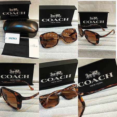 高雄東庭眼鏡~COACH 時尚大框金屬、膠框太陽眼鏡 高雄東庭眼鏡~COACH 時尚大框金屬、膠框太陽眼鏡