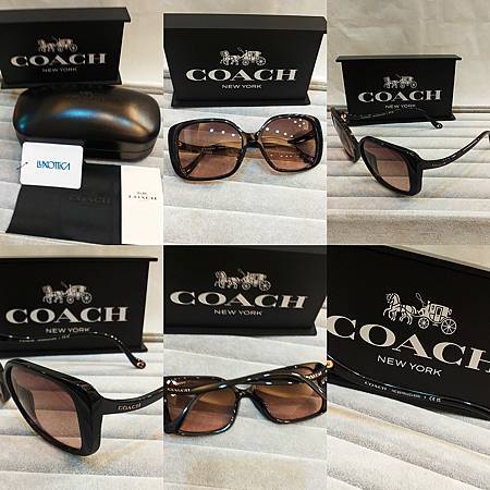 高雄東庭眼鏡~COACH 時尚大框金屬、膠框太陽眼鏡 高雄東庭眼鏡~COACH 時尚大框金屬、膠框太陽眼鏡