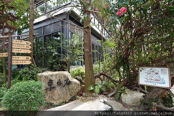 【大坑景觀餐廳】享自在。園區內有四家餐廳，澄石享自在有落羽松