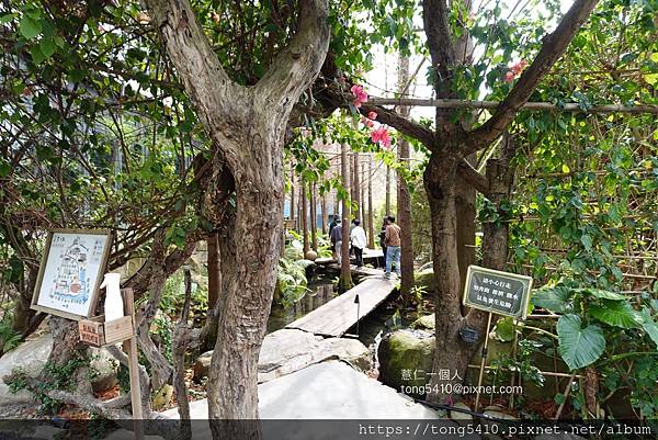 【大坑景觀餐廳】享自在。園區內有四家餐廳，澄石享自在有落羽松