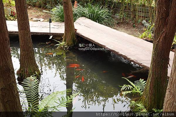 【大坑景觀餐廳】享自在。園區內有四家餐廳，澄石享自在有落羽松