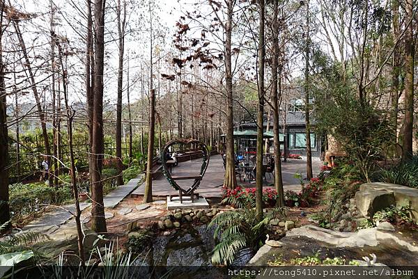 【大坑景觀餐廳】享自在。園區內有四家餐廳，澄石享自在有落羽松