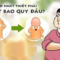 bao-quy-dau-dai-co-nhat-thiet-phai-cat.jpg