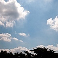 DSC_0019.jpg