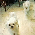 DSC06664.jpg