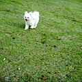 DSC06577.jpg