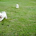 DSC06576.jpg