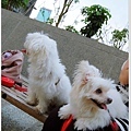 DSC_0013拷貝.jpg