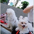 DSC_0012拷貝.jpg