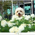 DSC_0038拷貝.jpg
