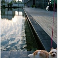 DSC_0045拷貝.jpg