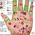 五指健身術