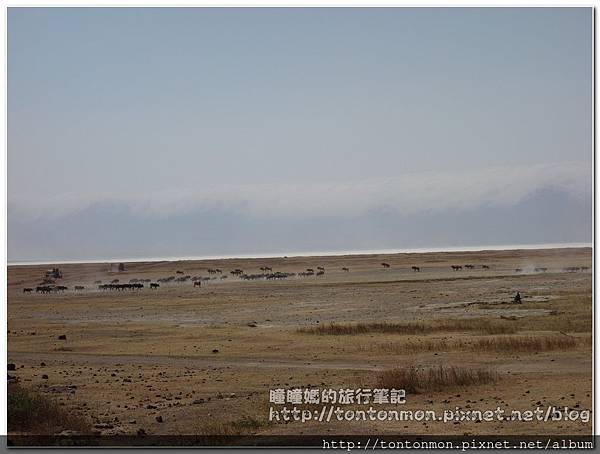 Ngorongoro15