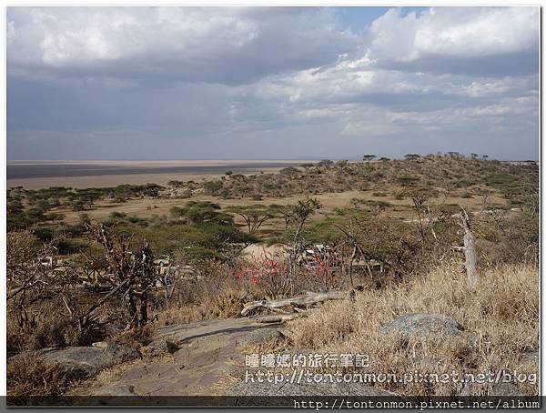 Serengeti081007