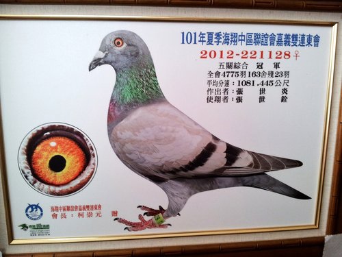 2012-221128暗灰 五關冠軍