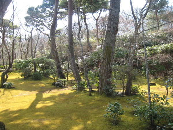 大河內山莊一景